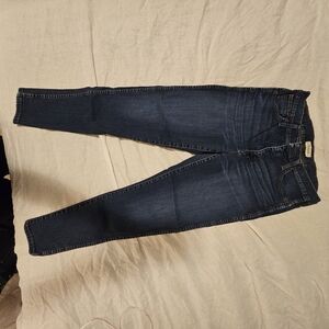 Madewell Blue Skinny Jeans with Tapered Fit 10 Inch High Waist